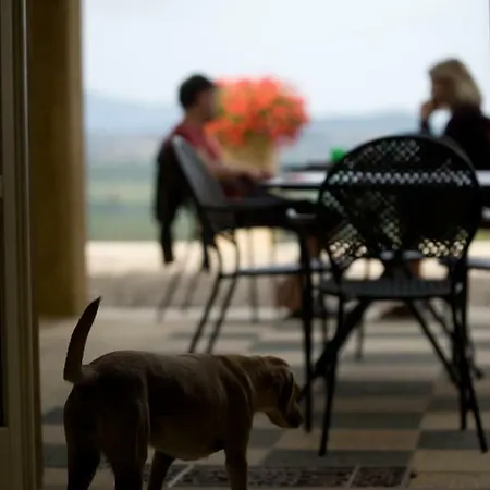 Hétvégi ház Tenuta Il Sassone - Wine&food *