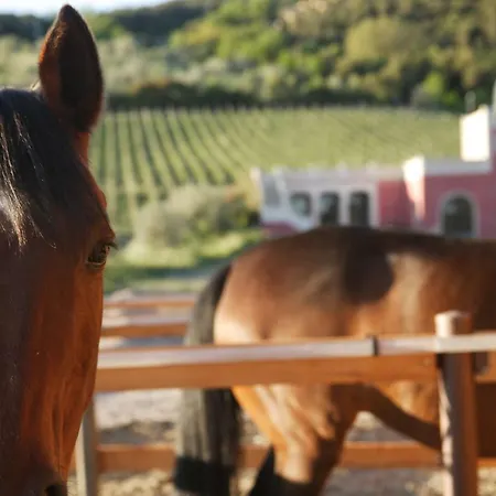 Tenuta Il Sassone - Wine&food Hétvégi ház Massa Marittima