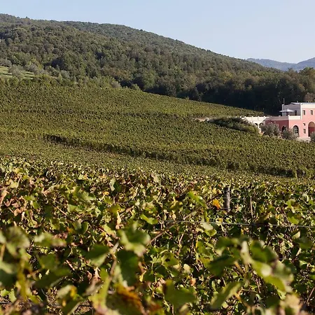 Tenuta Il Sassone - Wine&food *
