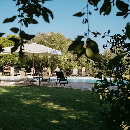 Hétvégi ház Tenuta Il Sassone - Wine&food